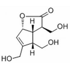 Borreriagenin