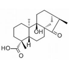 等效-9-羥基-15-氧代-19-異貝殼杉烷酸