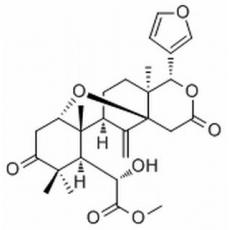  Methyl 6-hydroxyangolensate