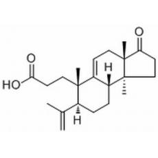三萜酸 A