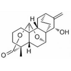 繡線菊內(nèi)醋 B