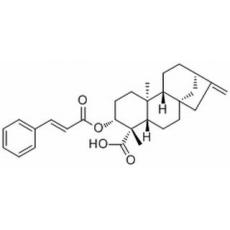 ent-3β-Cinnamoyloxykaur-16-en-19