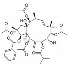 2,5,9,14-四乙酰氧基-3-苯甲?；趸?8,15-二羥基