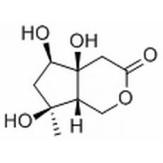 Buergerinin B