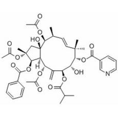 2,5,14-三乙酰氧基-3-苯甲?；趸?8,15-二羥基-7-異丁酰氧基-9-煙酰氧基氧基-6(17),11E-麻風樹屬二烯