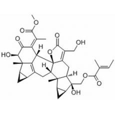 銀線草醇 C