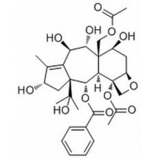 13-鄰去乙?；t豆杉醇 Z