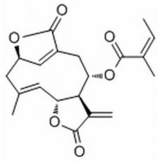 Isoscabertopin