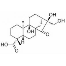 Pterisolic acid C