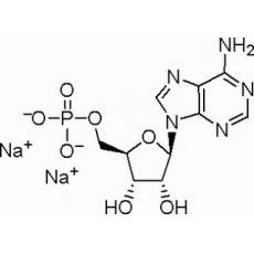 5-腺苷一磷酸二鈉鹽