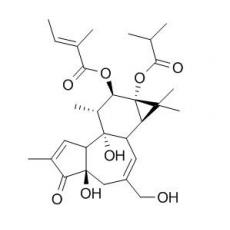 伏波酯-12-惕各酸酯-13-異丁酸酯