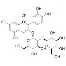 氯化矢車菊素-3-O-槐糖苷