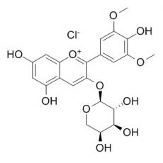 氯化錦葵色素-3-O-阿拉伯糖苷