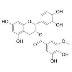 表兒茶素3-O-(3''-O-甲基)沒食子酸酯