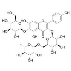 6-羥基山奈酚 3-蕓香糖-6-葡萄糖苷