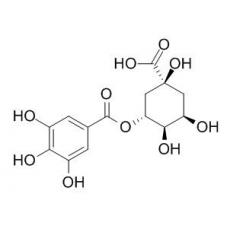 3-沒(méi)食子?；鼘幩? width=