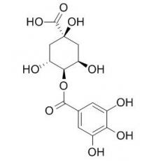 4-沒食子?；鼘幩? width=