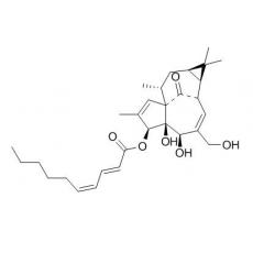 3-O-(2'E,4'Z-癸二烯?；?巨大戟二萜醇