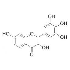 洋槐黃素