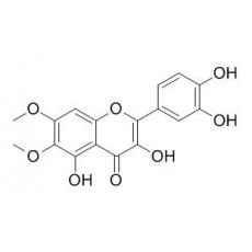  Eupatoletin