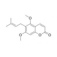 Toddaculine