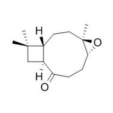 Kobusone